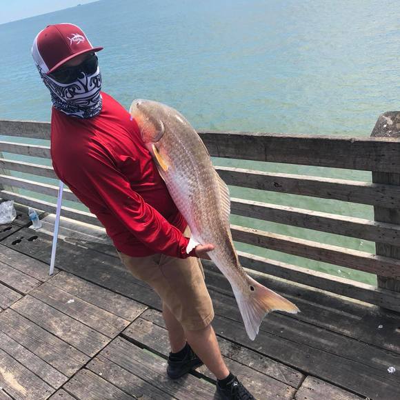 Meet your Posher, Manuel - Picture 1 of 1